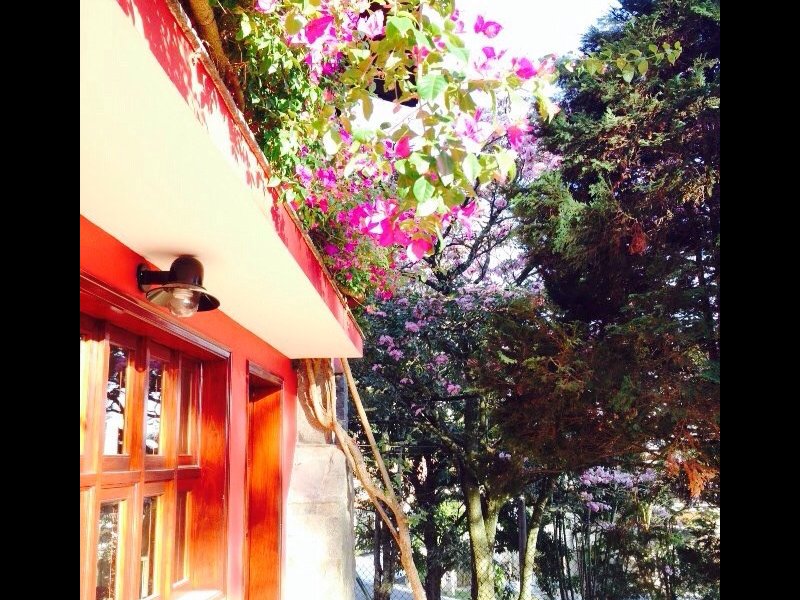 Casa de condomínio à venda Morada dos Pássaros com 600m² e 4 quartos por R$ 3.199.999 - 878803292-casapp13.jpg