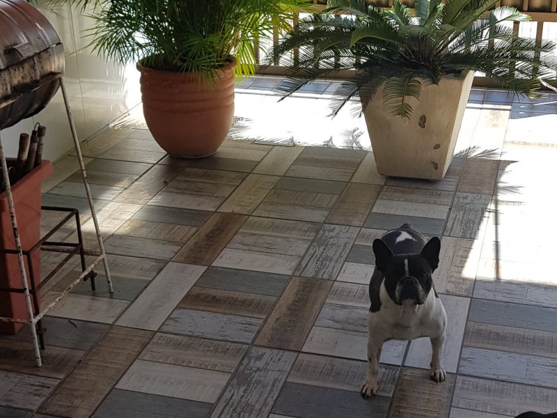 Casa de condomínio à venda Braga com 211m² e 4 quartos por R$ 900.000 - 956367633-20200305-114419.jpg