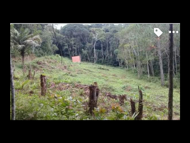 Terreno à venda Jardim das Palmeiras com 6m² e  quartos por R$ 70.000 - 1000368874-screenshot-20200303-2104163.png