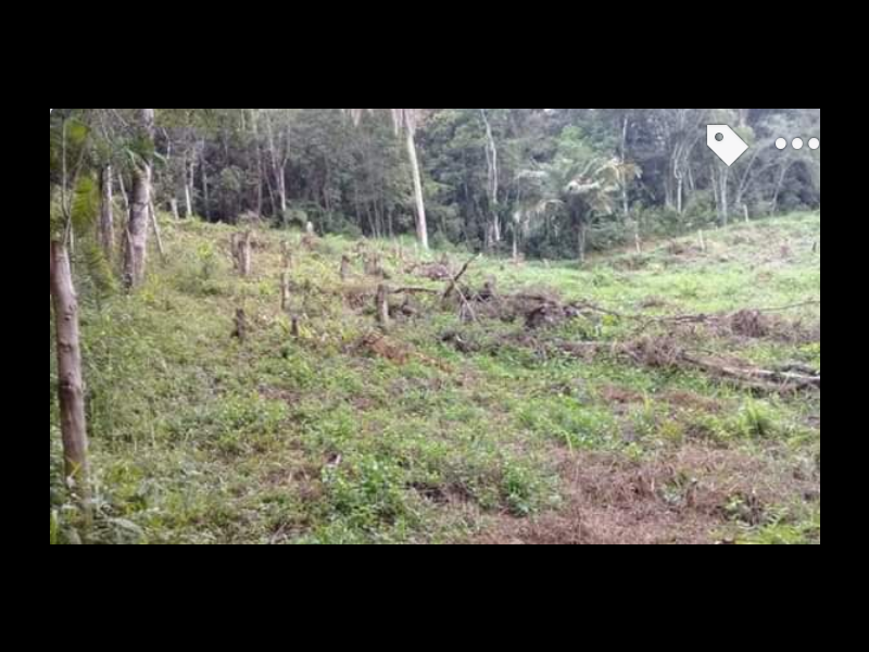 Terreno à venda Jardim das Palmeiras com 6m² e  quartos por R$ 70.000 - 1259633779-screenshot-20200303-2103582.png