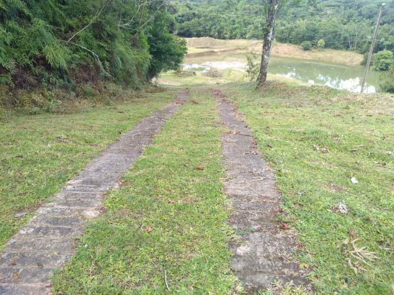 Sítio à venda Vila Peruibe com 84109m² e 5 quartos por R$ 700.000 - 1367736964-vista-do-lado-2-copy.jpg