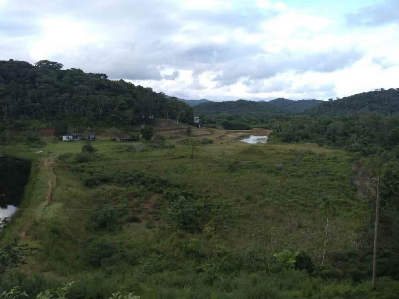 Sítio à venda Vila Peruibe com 84109m² e 5 quartos por R$ 700.000 - 1382086395-vista-de-cima-area-dos-lagos-copy.jpg