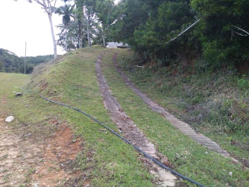 Sítio à venda Vila Peruibe com 84109m² e 5 quartos por R$ 700.000 - 1614971897-barracao-3-copy.jpg