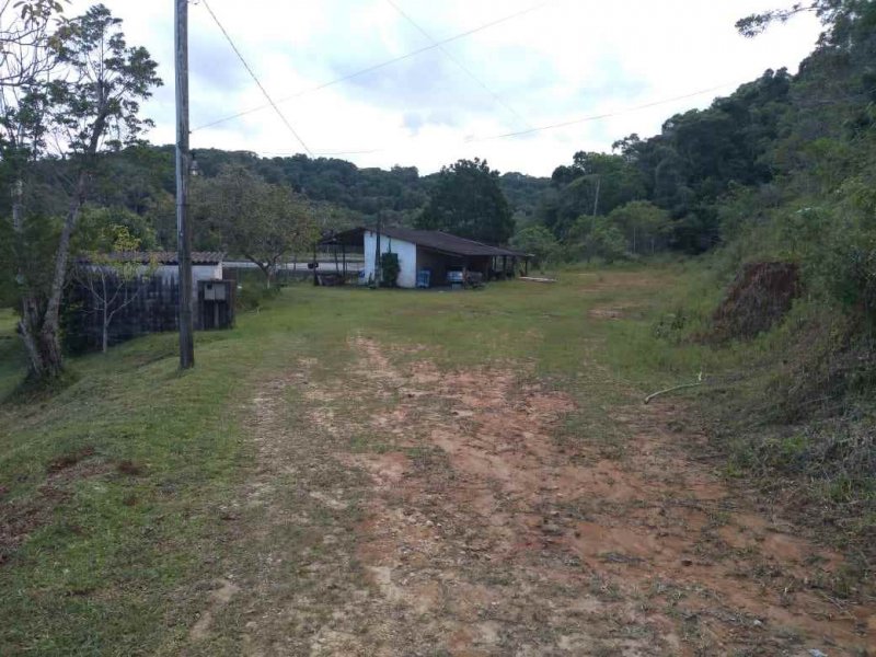 Sítio à venda Vila Peruibe com 84109m² e 5 quartos por R$ 700.000 - 1671961815-casa-caseiro-1-copy.jpg