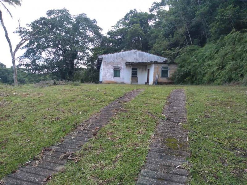 Sítio à venda Vila Peruibe com 84109m² e 5 quartos por R$ 700.000 - 1849130555-barracao-2-copy.jpg