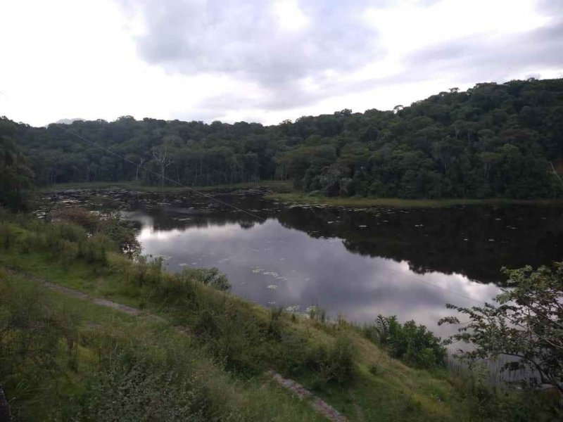 Sítio à venda Vila Peruibe com 84109m² e 5 quartos por R$ 700.000 - 2041641806-lago-vista-de-cima-copy.jpg