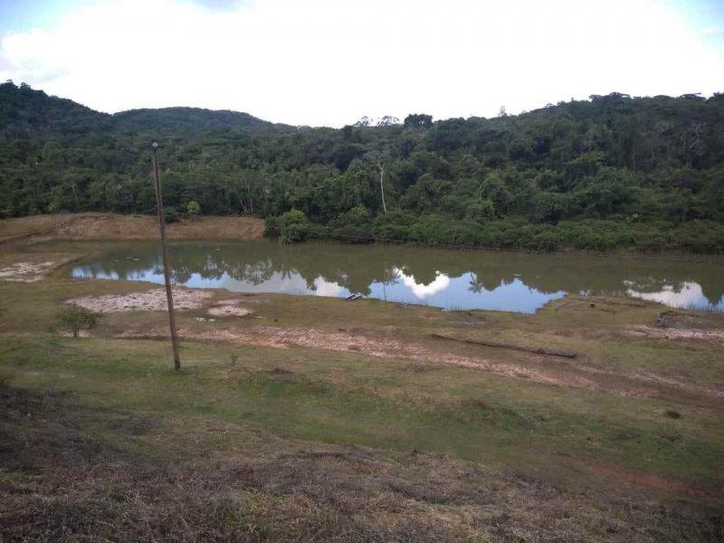 Sítio à venda Vila Peruibe com 84109m² e 5 quartos por R$ 700.000 - 2094933021-lago-vista-de-cima-4-copy.jpg