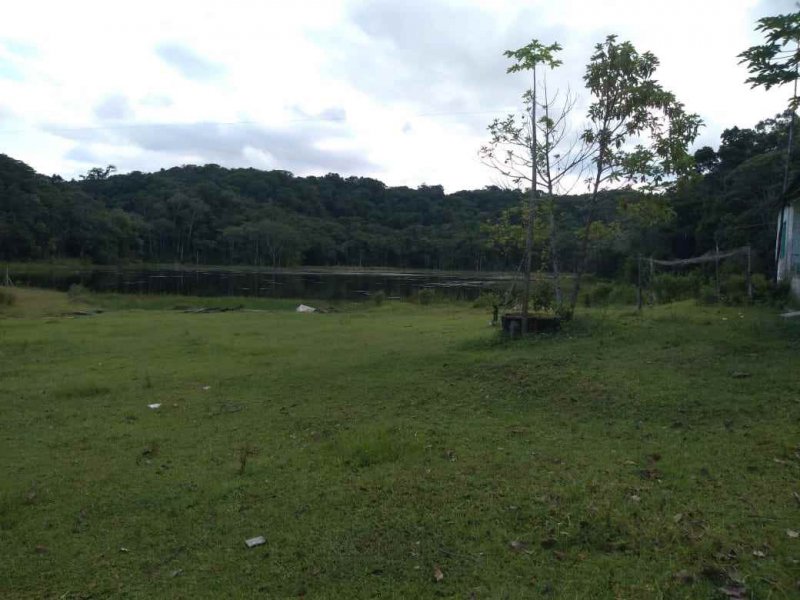 Sítio à venda Vila Peruibe com 84109m² e 5 quartos por R$ 700.000 - 248529388-vista-do-lado-copy.jpg