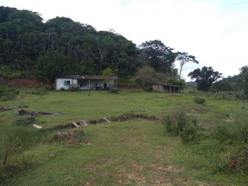 Sítio à venda Vila Peruibe com 84109m² e 5 quartos por R$ 700.000 - 732275305-casa-caseiro-copy.jpg