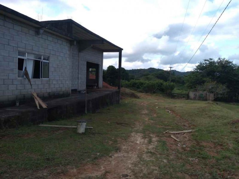 Sítio à venda Vila Peruibe com 84109m² e 5 quartos por R$ 700.000 - 744064777-galpoes-1-copy.jpg