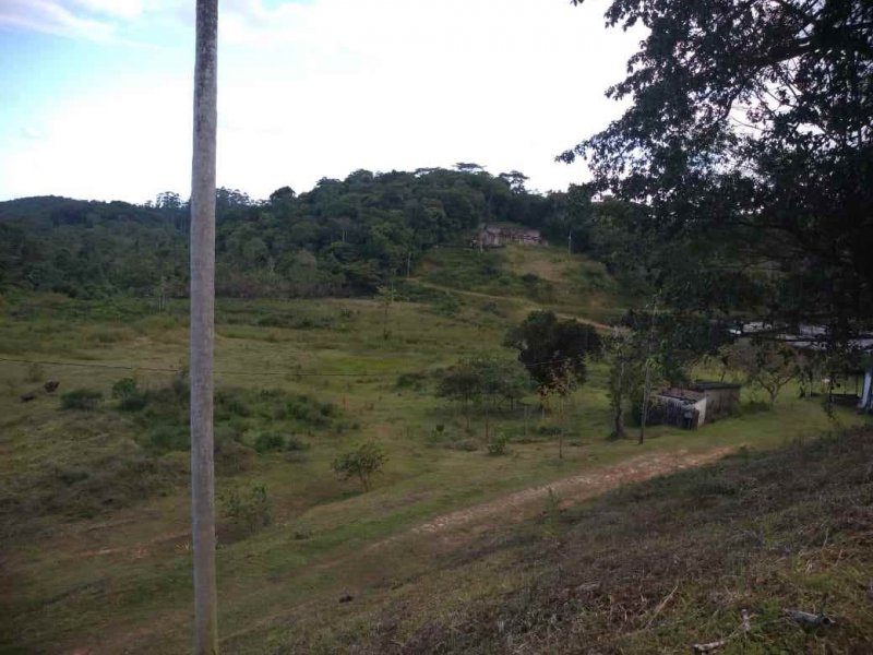 Sítio à venda Vila Peruibe com 84109m² e 5 quartos por R$ 700.000 - 870214138-vista-de-cima-area-dos-lagos-1-copy.jpg