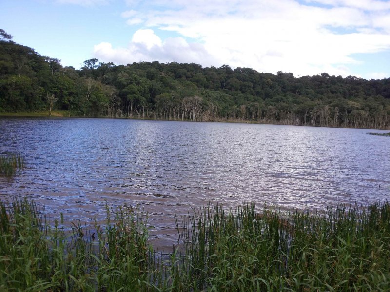 Sítio à venda Vila Peruibe com 84109m² e 5 quartos por R$ 700.000 - 990257041-lago-1-copy.jpg