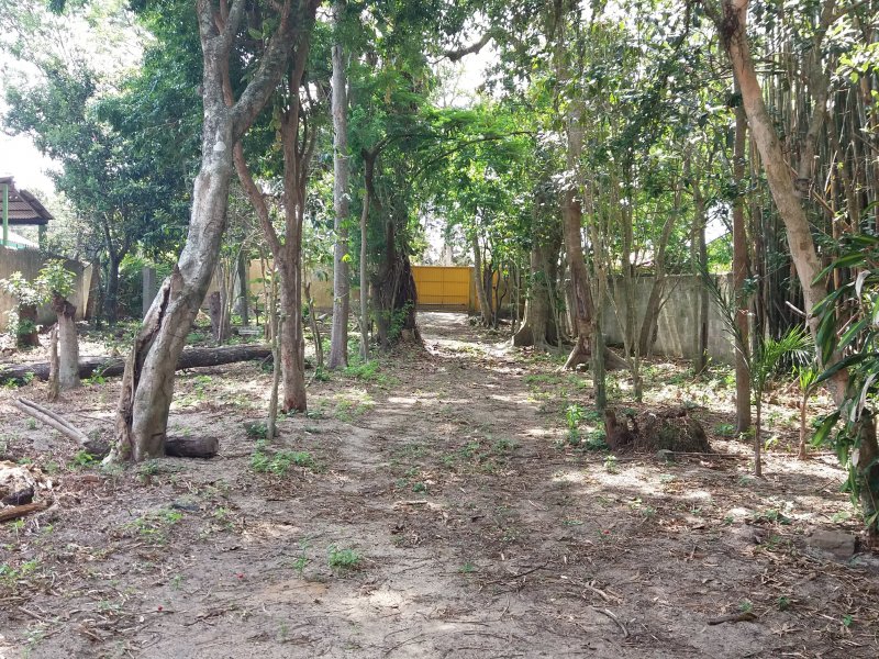 Casa à venda São João do Rio Vermelho com 195m² e 5 quartos por R$ 650.000 - 111949934-20191122-094046.jpg