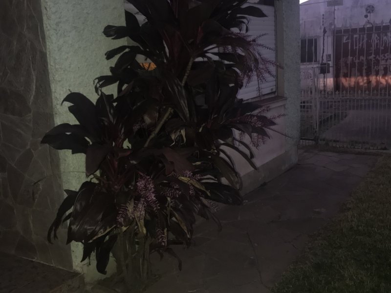 Casa à venda São Sebastião com 117m² e 2 quartos por R$ 280 - 510177831-6d1cd7cc-b5a8-4052-b43f-5737e9acea78.jpeg