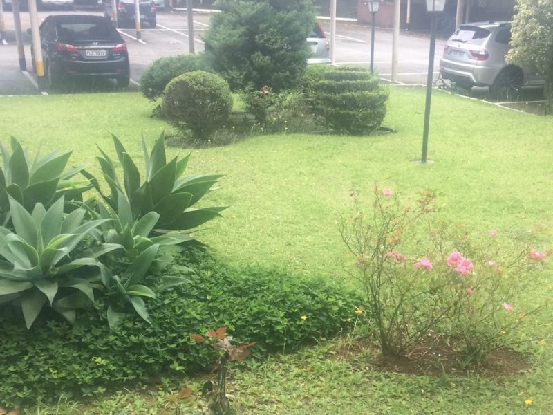 imóvel com 50m² - Santa Terezinha - São Bernardo do Campo
