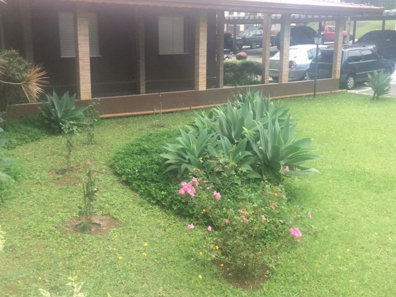 imóvel com 50m² - Santa Terezinha - São Bernardo do Campo