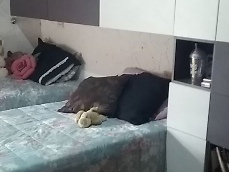 Cobertura à venda Vila Nasser com 87m² e 2 quartos por R$ 235.000 - 1339096673-screenshot-20200303-123312-whatsapp.jpg