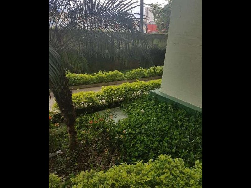 Apartamento à venda Mandaqui com 50m² e 2 quartos por R$ 298.000 - 658130388-731edf6ba50802bc75dfc16c5835ac4e.jpg