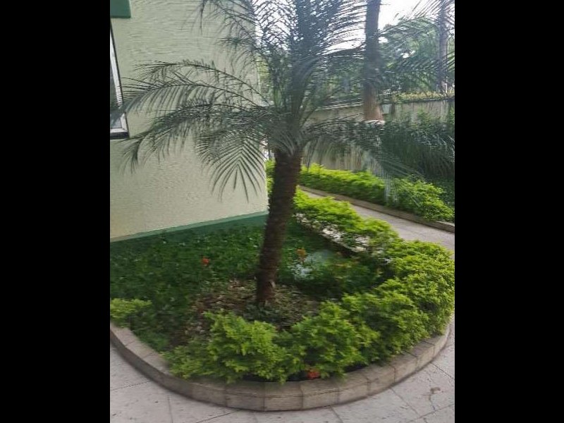 Apartamento à venda Mandaqui com 50m² e 2 quartos por R$ 298.000 - 8929420-a993bde1ad4ef41fc1e6329b52e49780.jpg