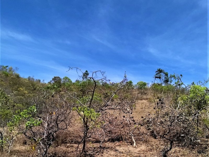 imóvel com 1000m² - Parque Jardim Amanda - Nova Lima