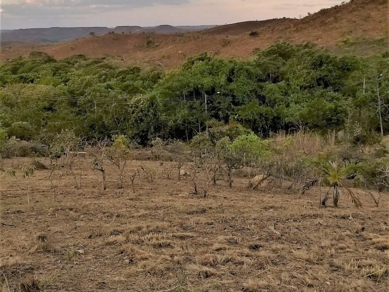 imóvel com 1000m² - Parque Jardim Amanda - Nova Lima