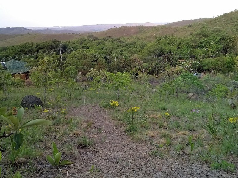 imóvel com 1000m² - Parque Jardim Amanda - Nova Lima