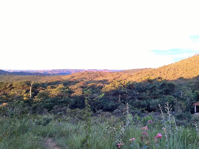 imóvel com 1000m² - Parque Jardim Amanda - Nova Lima