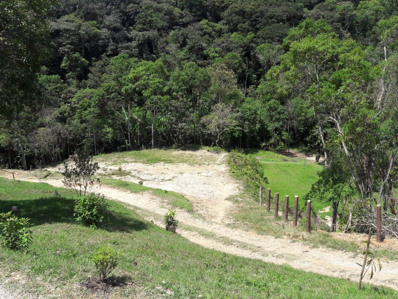 Chácara para alugar Jardim dos Eucaliptos com 600m² e 4 quartos por R$ 360.000 - 2102815319-20191003-115800.jpg