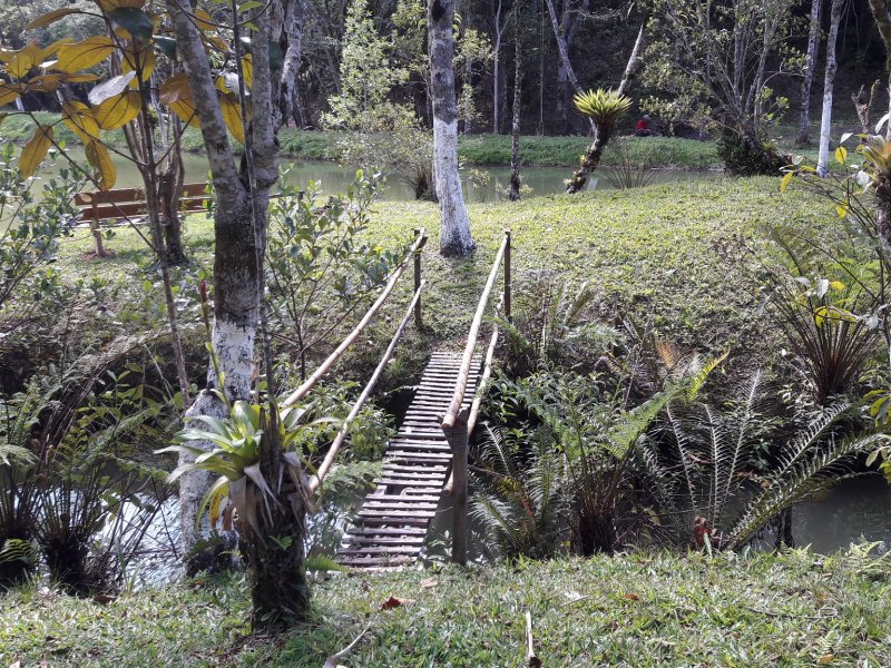 Chácara para alugar Jardim dos Eucaliptos com 600m² e 4 quartos por R$ 360.000 - 442534175-20191003-142936.jpg