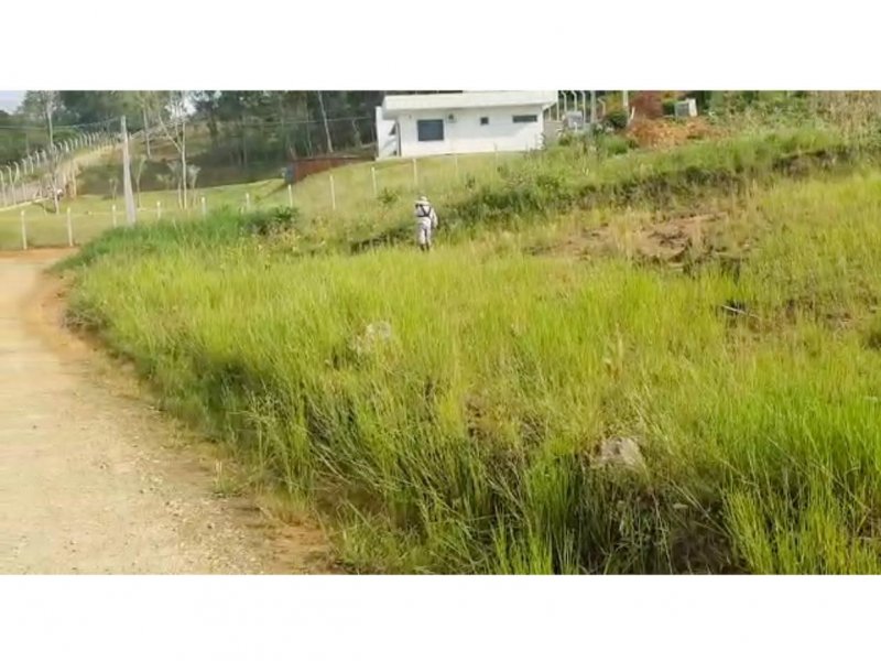 Apartamento à venda Centro com 450m² e 5 quartos por R$ 85.000 - 744752875-fb9d991d-fcae-4931-b4d3-4e5370fffe32.jpeg