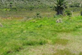 Terreno à venda Centro com 8000m² -  dormitórios -  vagas - R$ 1.900.000 - 1190271212-img-20200309-wa0038.jpg
