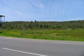 Terreno à venda Centro com 8000m² -  dormitórios -  vagas - R$ 1.900.000 - 1878400328-img-20200309-wa0043.jpg