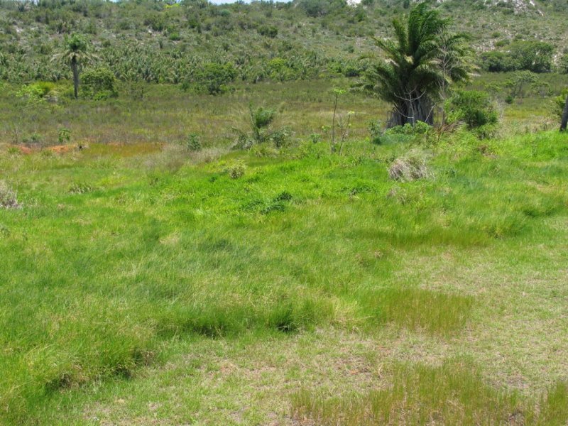 Terreno à venda Centro com 8000m² e  quartos por R$ 1.900.000 - 1190271212-img-20200309-wa0038.jpg