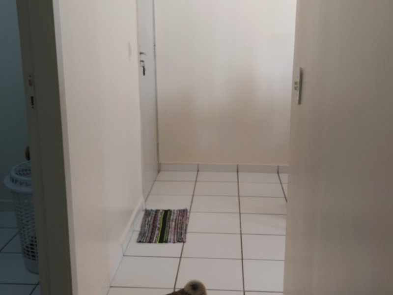 Casa à venda Centro com 110m² e 2 quartos por R$ 75.000 - 1012914073-img-20200115-094426.jpg