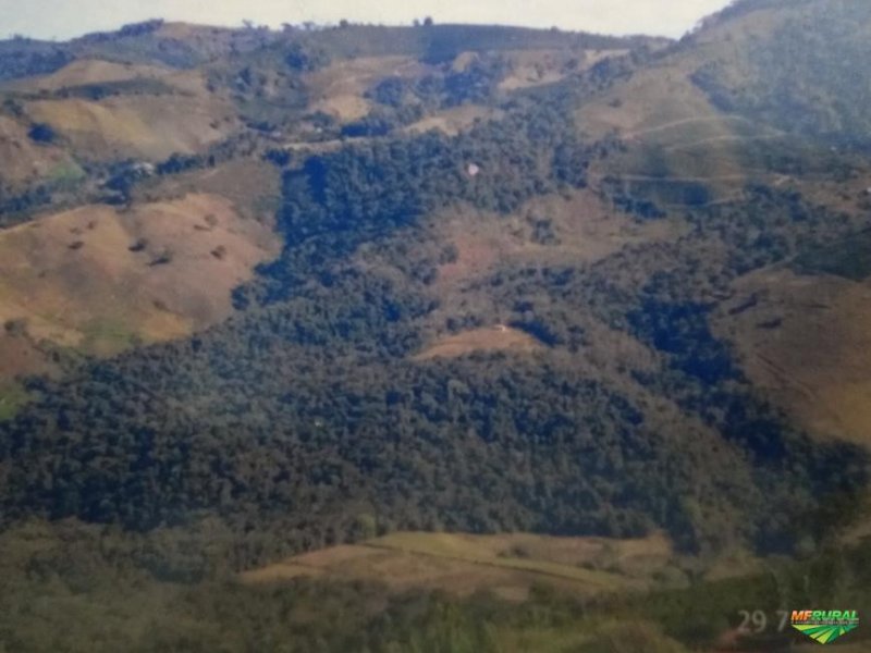 Sítio à venda Santa Lúcia com 48400m² e 2 quartos por R$ 50.000.000 - 1275226286-352010-352780-1928077-vende-se-sitio-em-poco-fundo-mg.jpg