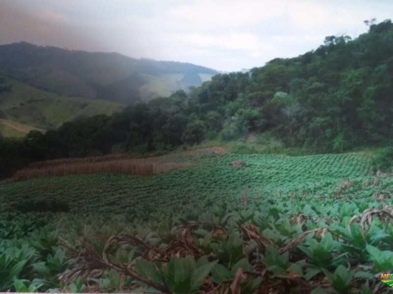 Sítio à venda Santa Lúcia com 48400m² e 2 quartos por R$ 50.000.000 - 1326462954-352010-352780-1928085-vende-se-sitio-em-poco-fundo-mg.jpg