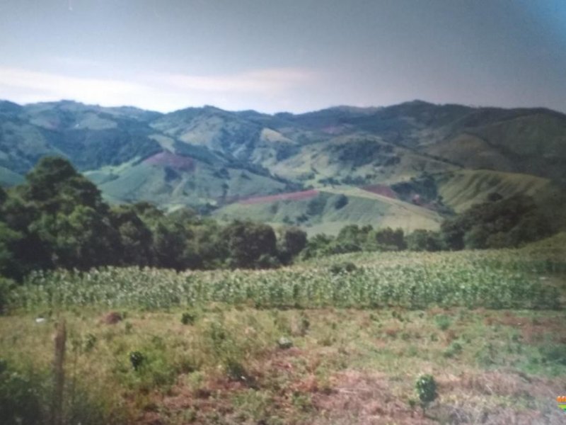 Sítio à venda Santa Lúcia com 48400m² e 2 quartos por R$ 50.000.000 - 1790017749-352010-352780-1928080-vende-se-sitio-em-poco-fundo-mg.jpg