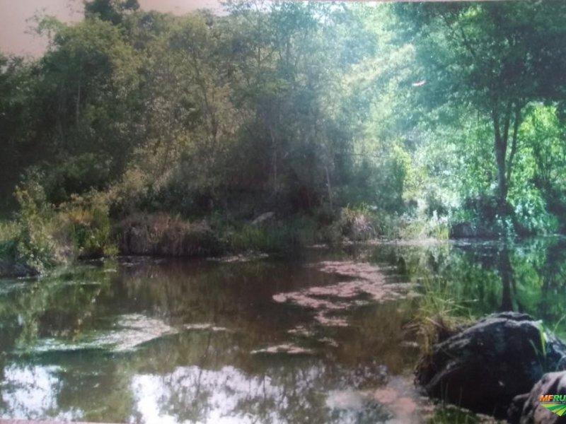 Sítio à venda Santa Lúcia com 48400m² e 2 quartos por R$ 50.000.000 - 1993361424-352010-352780-1928083-vende-se-sitio-em-poco-fundo-mg.jpg
