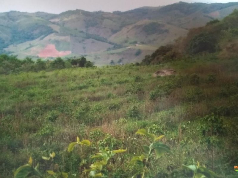 Sítio à venda Santa Lúcia com 48400m² e 2 quartos por R$ 50.000.000 - 2121100223-352010-352780-1928079-vende-se-sitio-em-poco-fundo-mg.jpg