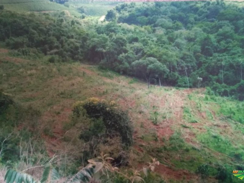 Sítio à venda Santa Lúcia com 48400m² e 2 quartos por R$ 50.000.000 - 341972930-352010-352780-1928084-vende-se-sitio-em-poco-fundo-mg.jpg