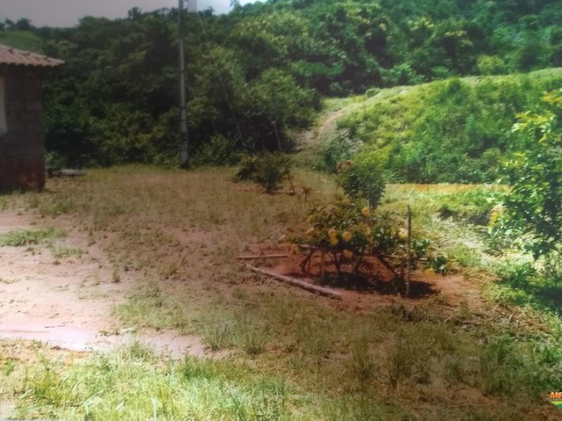Sítio à venda Santa Lúcia com 48400m² e 2 quartos por R$ 50.000.000 - 4597210-352010-352780-1928087-vende-se-sitio-em-poco-fundo-mg.jpg