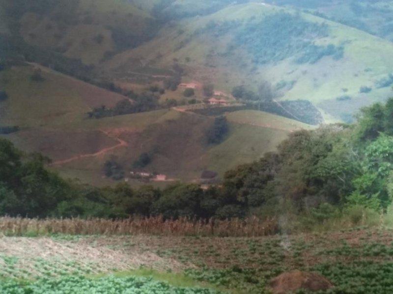 Sítio à venda Santa Lúcia com 48400m² e 2 quartos por R$ 50.000.000 - 580193850-352010-352780-1928086-vende-se-sitio-em-poco-fundo-mg.jpg