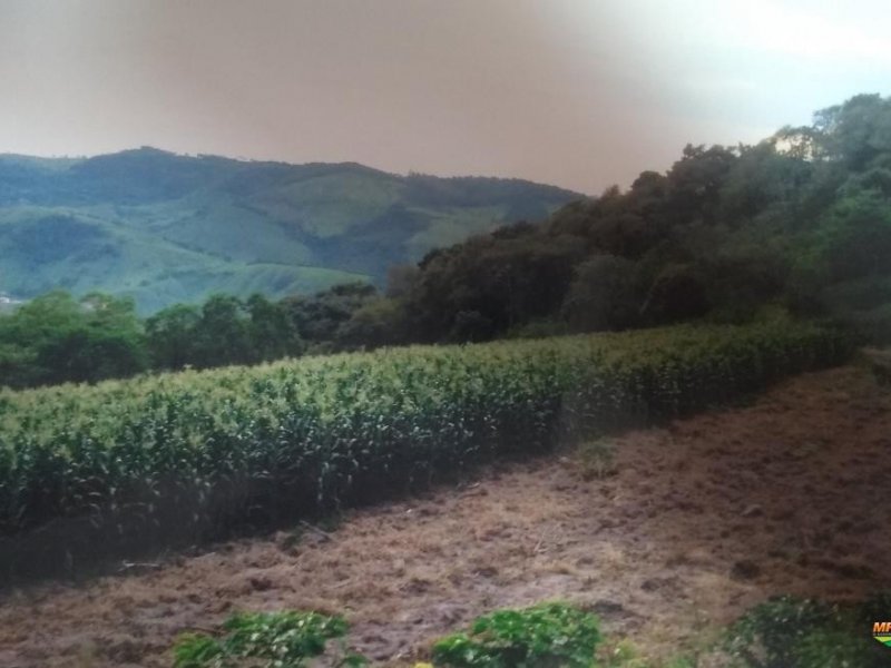 Sítio à venda Santa Lúcia com 48400m² e 2 quartos por R$ 50.000.000 - 804119744-352010-352780-1928081-vende-se-sitio-em-poco-fundo-mg.jpg
