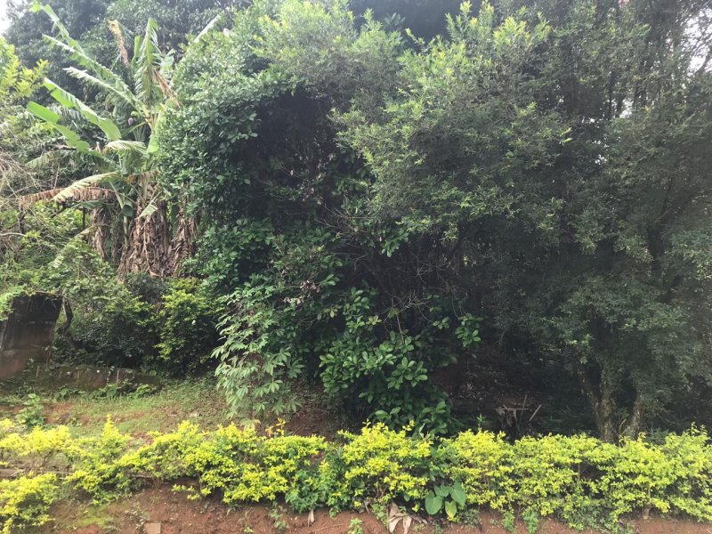 Casa à venda Edgar Antônio Moreira com 92m² e 3 quartos por R$ 700.000 - 1360003190-071a2a2a-448b-4bc3-9b5b-591bda206cc8.jpeg