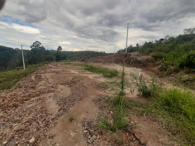 Terreno à venda Dona Catarina com 1000m² e  quartos por R$ 35.000 - 1377531471-5ed55be8-415d-4c45-bdde-f6c3ae1a56a5.jpg