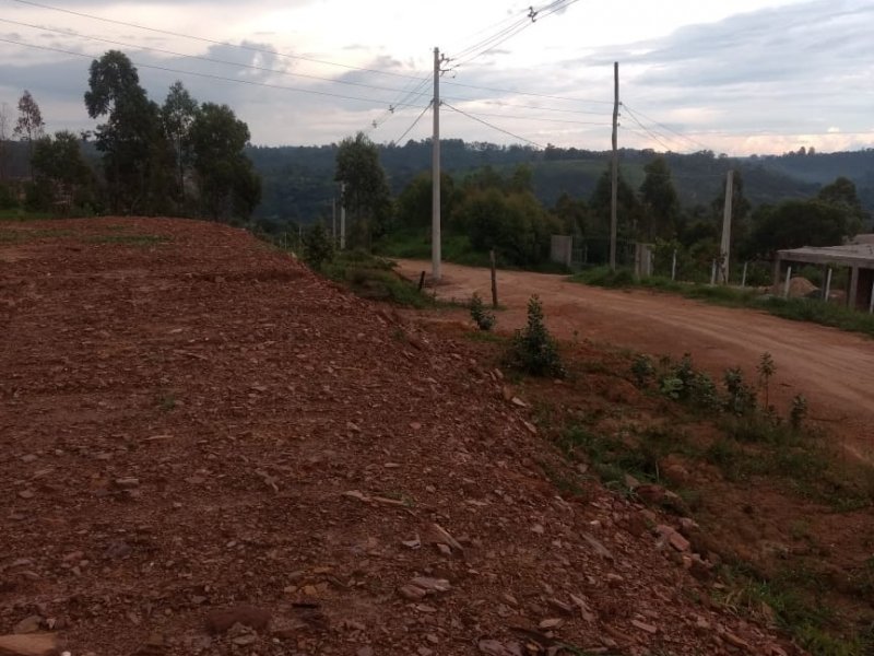 Terreno à venda Dona Catarina com 1000m² e  quartos por R$ 35.000 - 511666833-6b8b7b4e-8aa7-4289-b721-0d51acb811a9.jpg