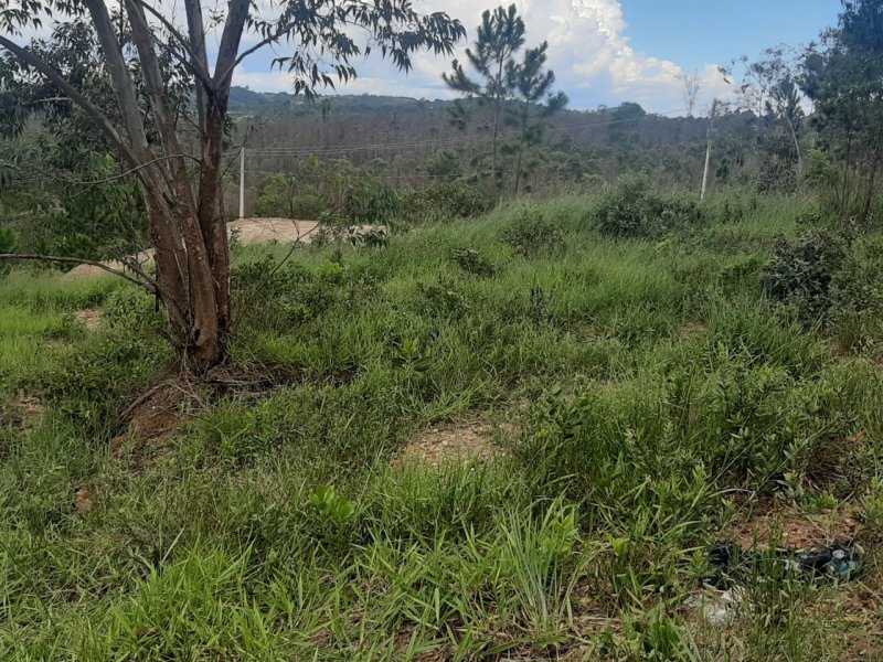 Terreno à venda Dona Catarina com 1000m² e  quartos por R$ 35.000 - 75406244-62b9f6f8-263a-4aff-9fa9-d90e991a546a.jpg