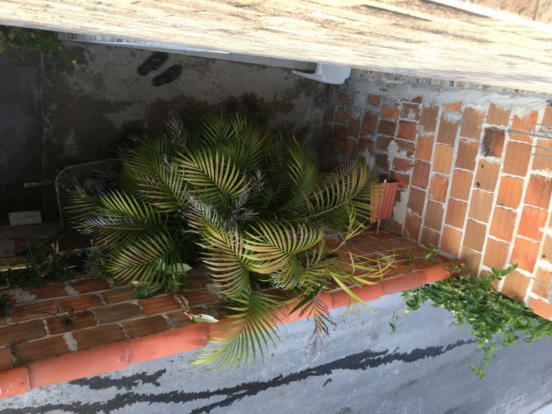 Casa à venda Abrantes com 150m² e 3 quartos por R$ 145.000 - 1407516247-209aece7-484d-4f3a-993e-240f28e22ffb.jpeg