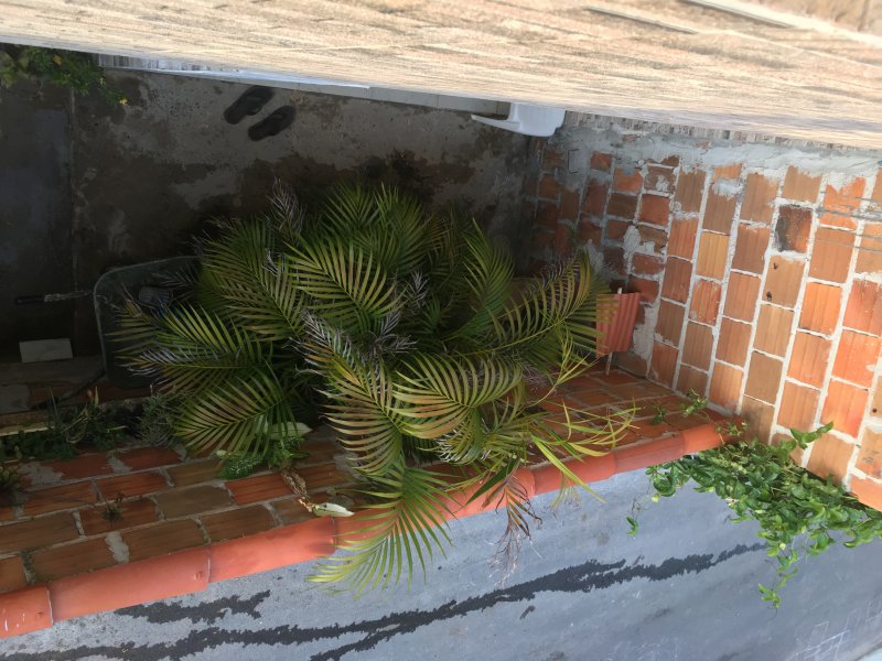 Casa à venda Abrantes com 150m² e 3 quartos por R$ 145.000 - 886076905-72c3f7e9-4064-4603-86cf-469c3a5009ea.jpeg