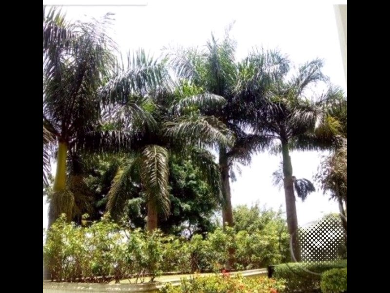Apartamento à venda Vila Regente Feijó com 123m² e 3 quartos por R$ 880.000 - 103917411-569b46d9-cb66-47e2-9699-db97d2ea38c4.jpeg